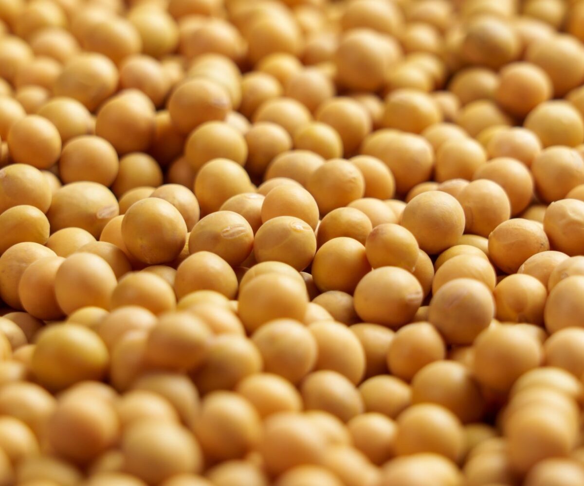 Soybeans Kicking Off Midweek Trade with Early Strength